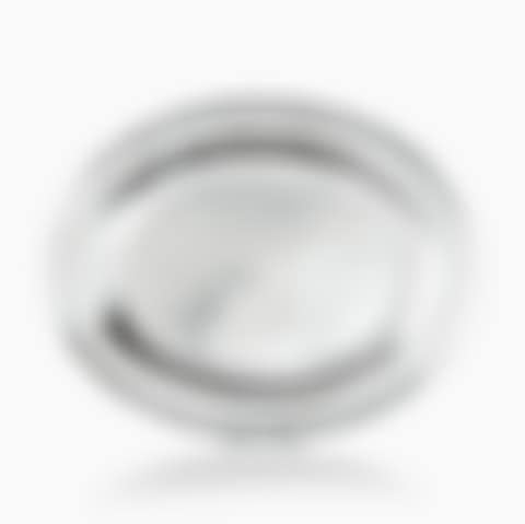 Storage dish Silver (preview)