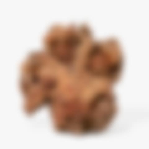 A wood carving Carved with a partially obscured robed figure emerging from the rough gnarled piece of wood (preview)