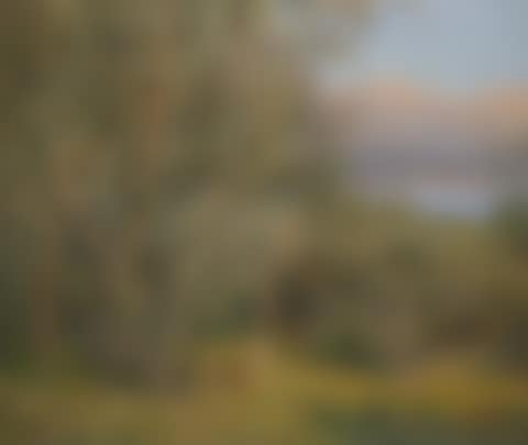 "Cadenabbia" (preview)