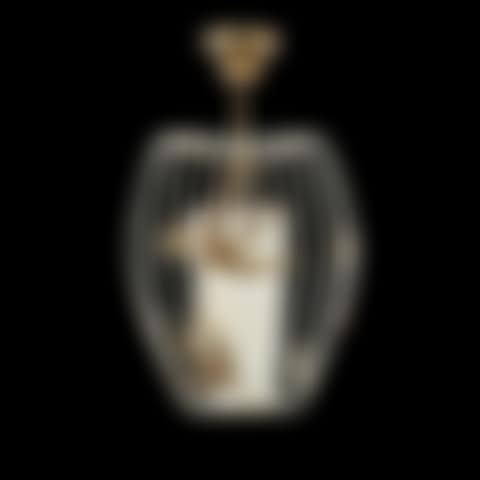 Ceiling fixture (preview)