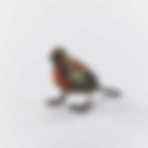 Bird toy (preview)