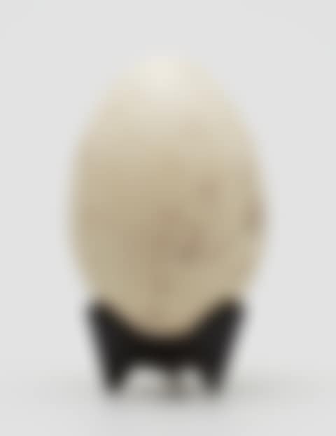 Eggs (preview)