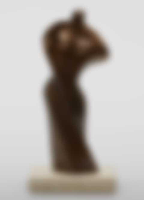Sweeping female figure (preview)