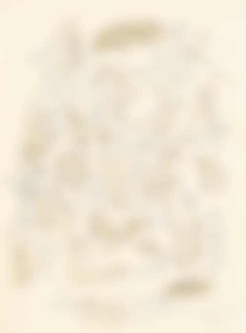 Abstract composition (preview)