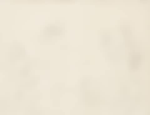 ”La Danse des Banderilles” (preview)