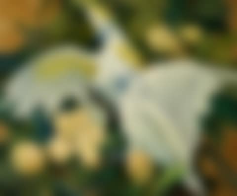 Two Cockatoos (preview)