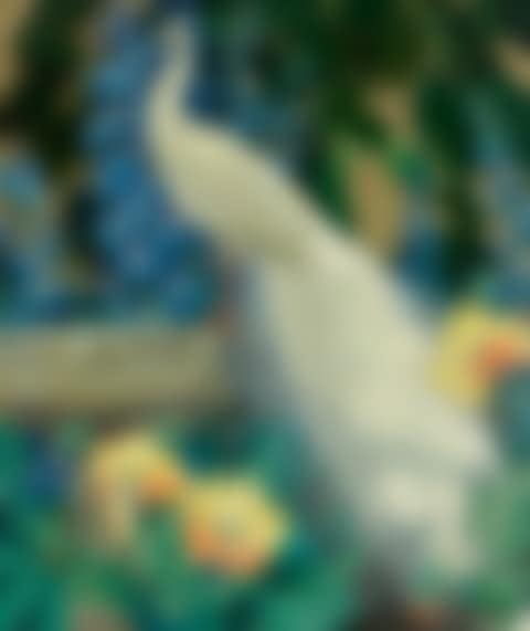 Peacock and Poppies (preview)