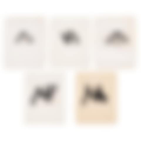 Calligraphic Study I-V (preview)