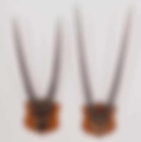 Oryx horns mounted on wood bases (preview)