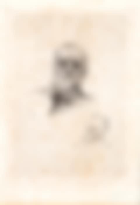 Victor Hugo, de face (preview)
