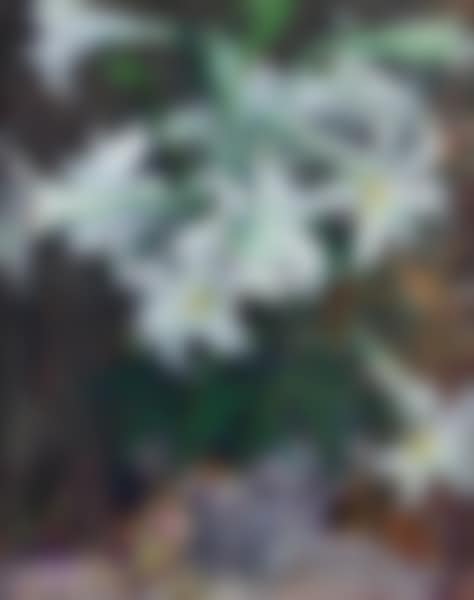 "White Easter Lilies" (preview)