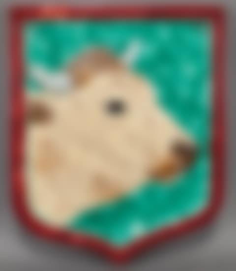Medallion (preview)