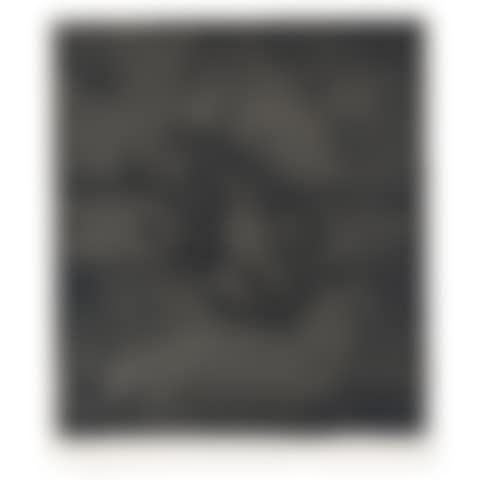 Face (Black State), from Casts from Untitled (preview)
