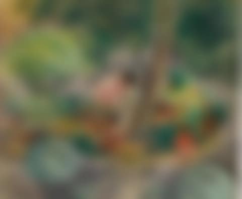 Nono et Pierre dans le jardin (preview)