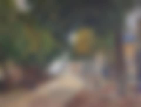 Park view (preview)