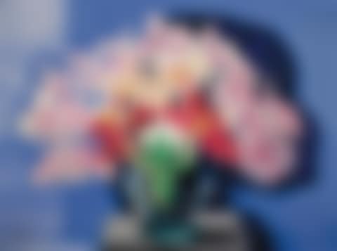 Les orchidees (preview)