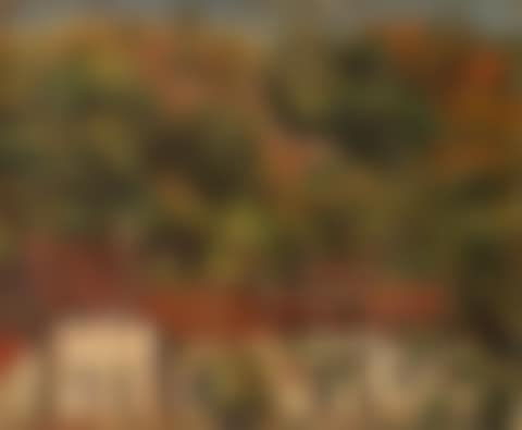 Landscape with houses (preview)
