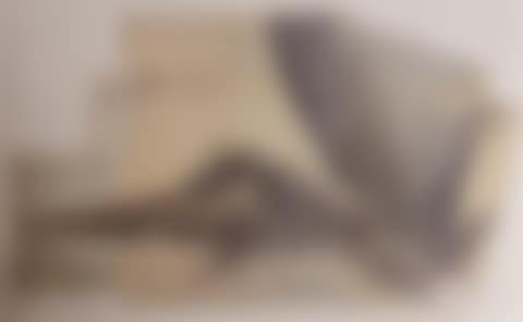 Fischreiher Oslo, Plakat - Offsetdruck (preview)
