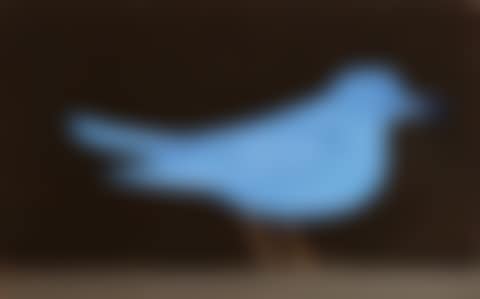 Dove (preview)