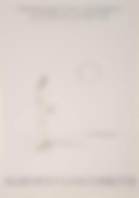 Poster for an exhibition of work by Alberto Giacometti at Orangerie des Tuileries (preview)