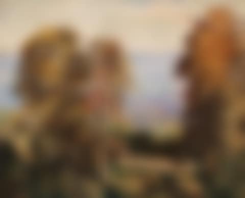 Schweriner see (preview)