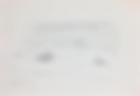 Landscape (preview)
