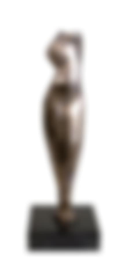 Flat torso (preview)
