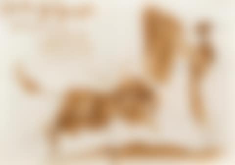 Toréador et taureau (preview)