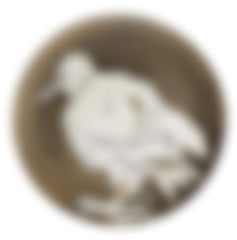 Oiseau no.76 (preview)