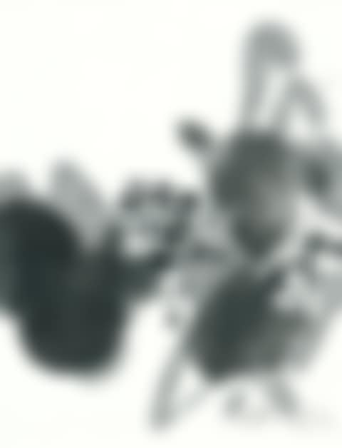 Composition (preview)