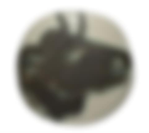 Profil de taureau (preview)