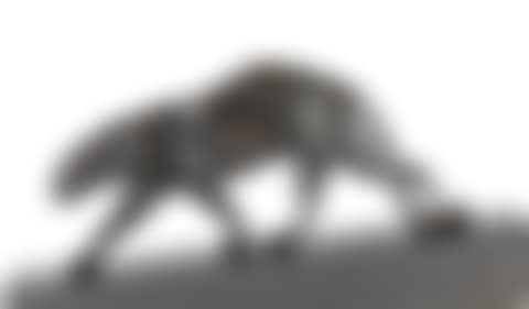 Panther (preview)