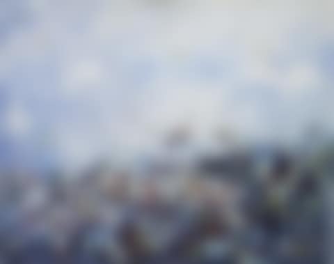 Papillons (preview)
