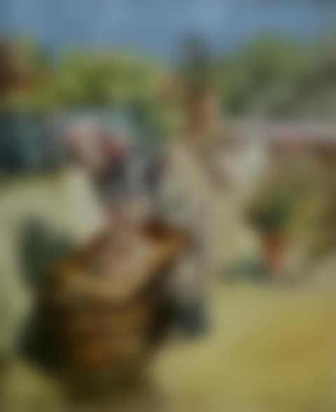 The laundress (preview)