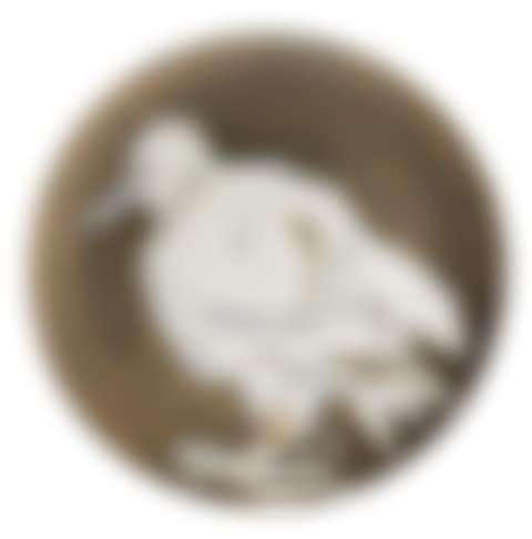 Oiseau no.76 (preview)