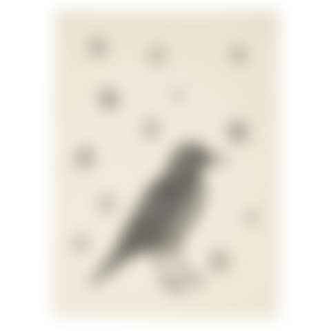 Bird with Stars (preview)