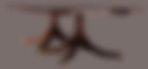 Dining room table (preview)