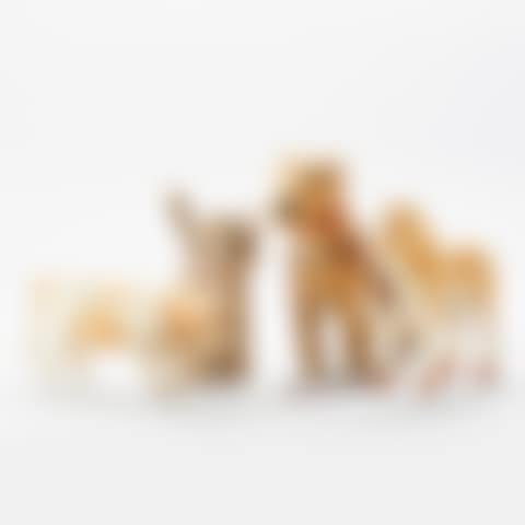 Steiff animals (preview)