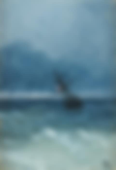 Ship on high seas (preview)