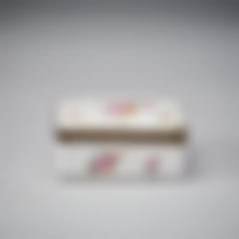 Box with lid (preview)