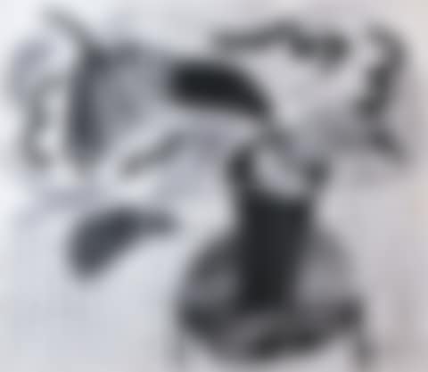 Black Plant on Table (preview)