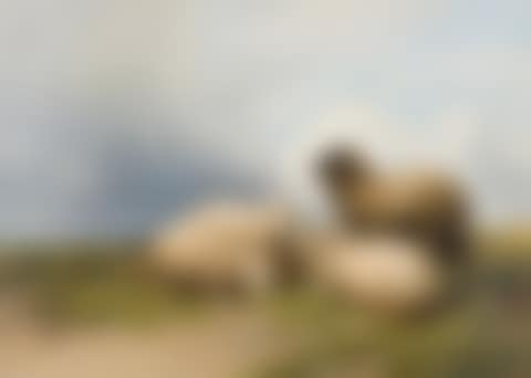 Sheep (preview)