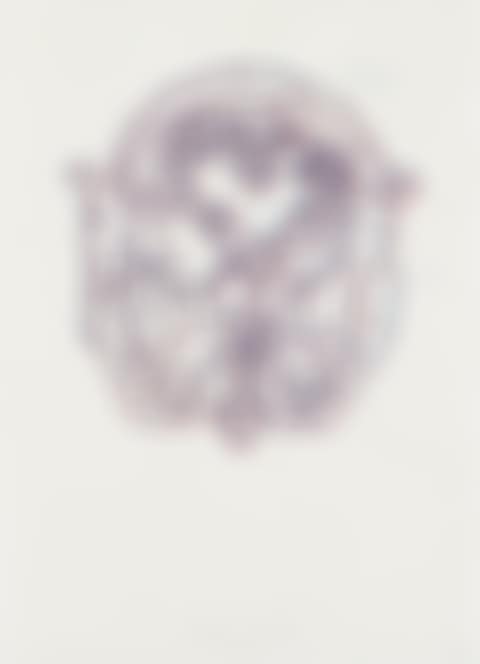Cross Section of a Head (preview)