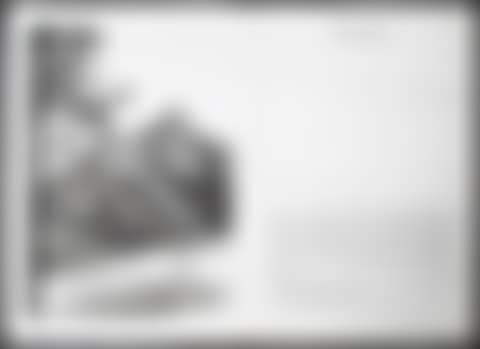 Fundevogel; Old Rinkrank (preview)