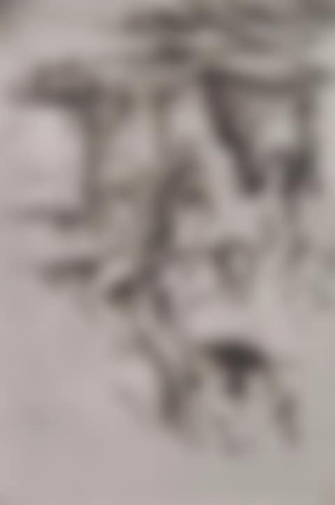 An archive of reproductions of his etchings, in three (preview)
