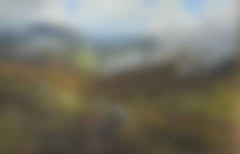Grouse Moor, Perthshire (preview)