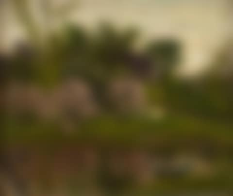 View of a country garden with a rowing lake and a house beyond (preview)