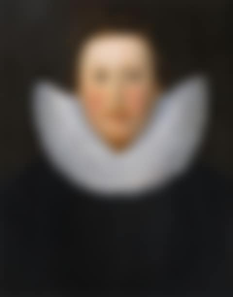 Portrait of Sir Henry Neville (1564-1615) (preview)