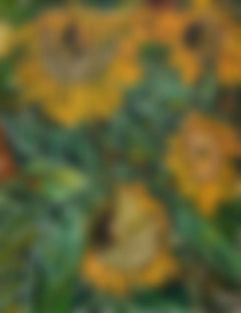 Sunflowers (preview)