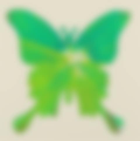 Butterfly spin painting (preview)